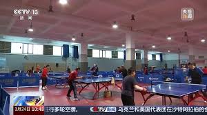 贝博中国 乒乓球台修建材料有哪些